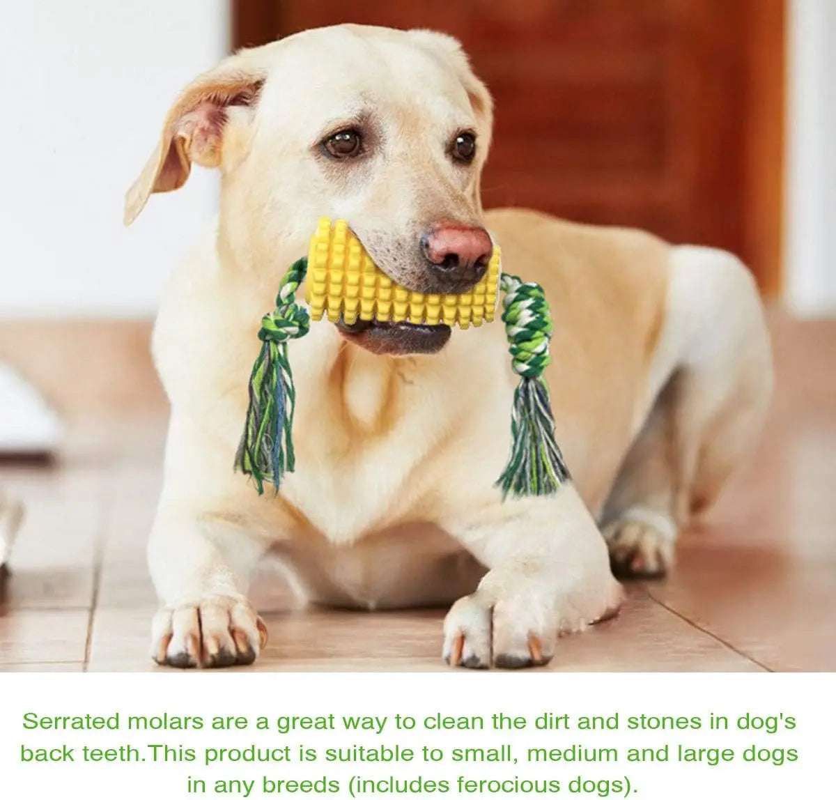 Interactive Corn Toothbrush Dog Toy