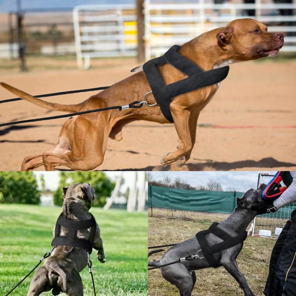 Adjustable Dog Weight Pulling Training Harness - Moment Pets
