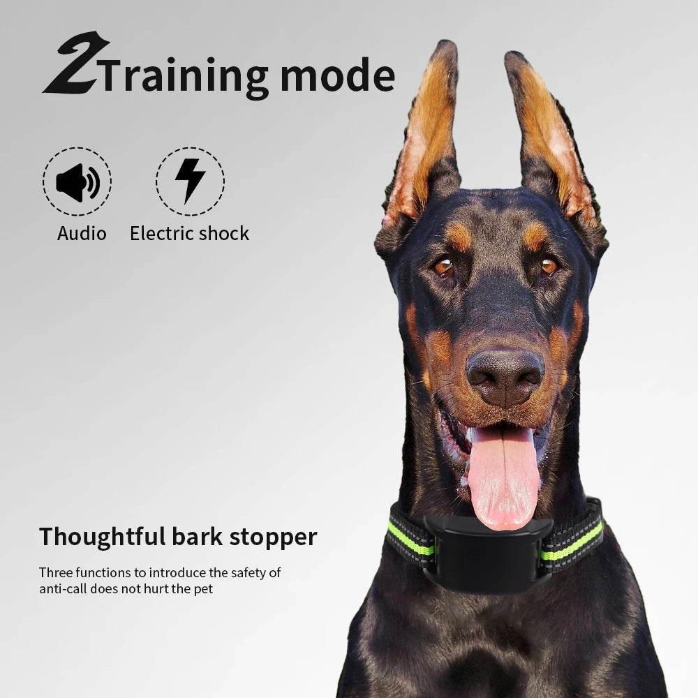 Automatic Anti Bark Dog Collar - Moment Pets