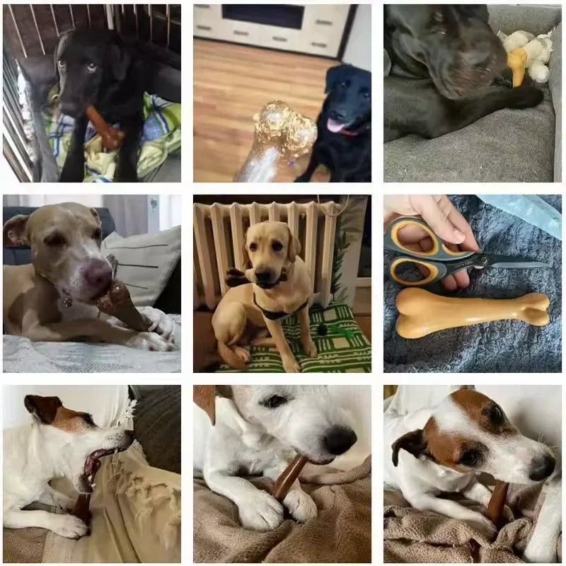Indestructible Natural Dog Chew Toy