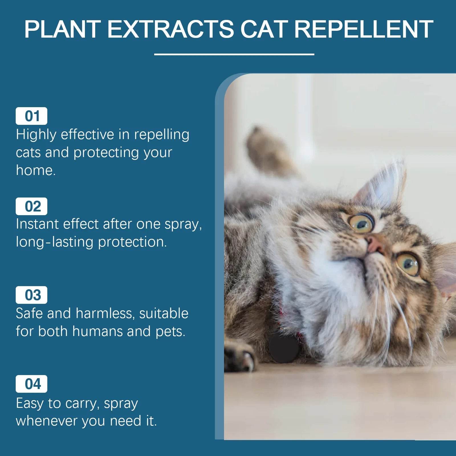 Cat Repellent Spray Anti - Moment Pets