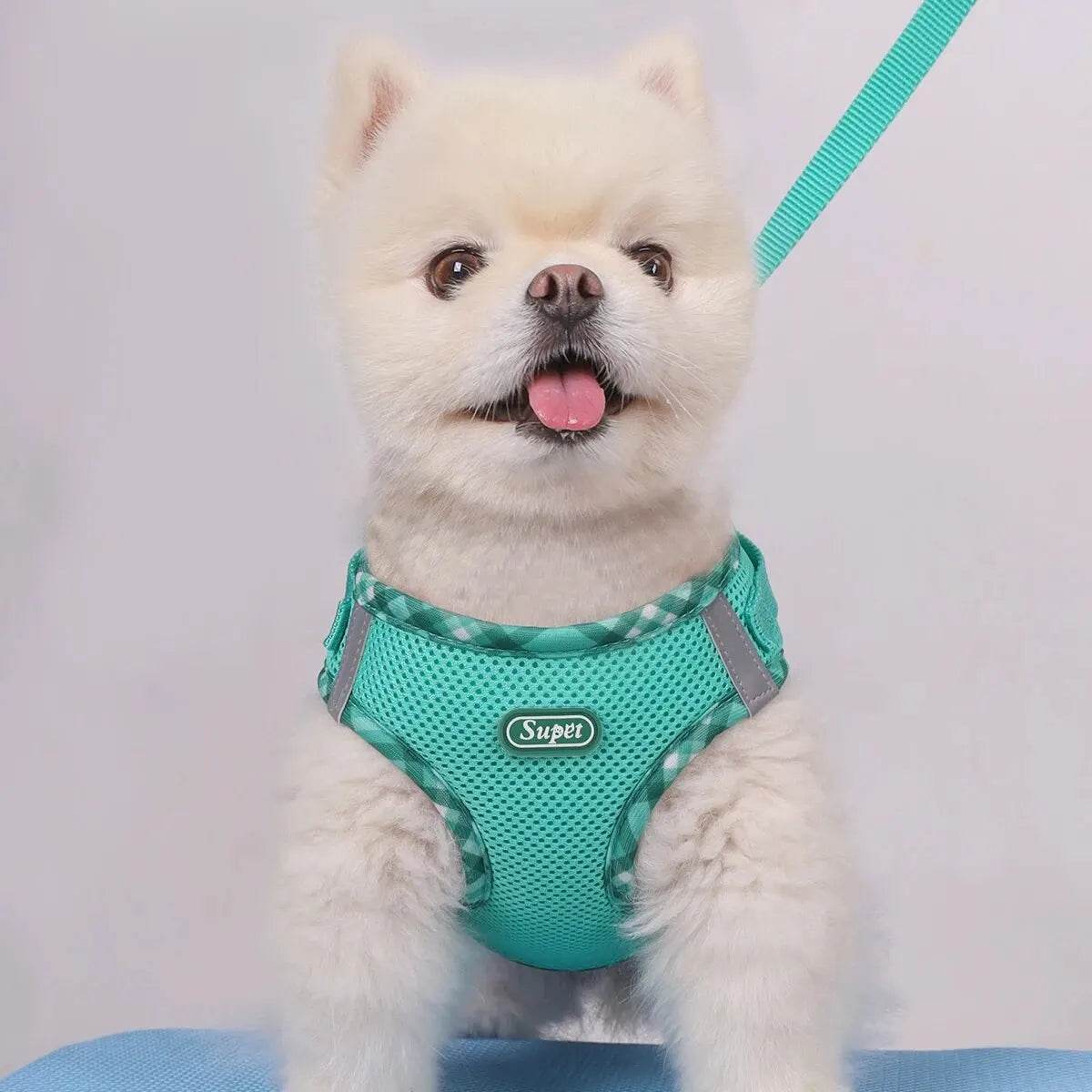 Dog Harness – Anti-Pull, Adjustable, Easy Control for Small & Medium Dogs - Moment Pets