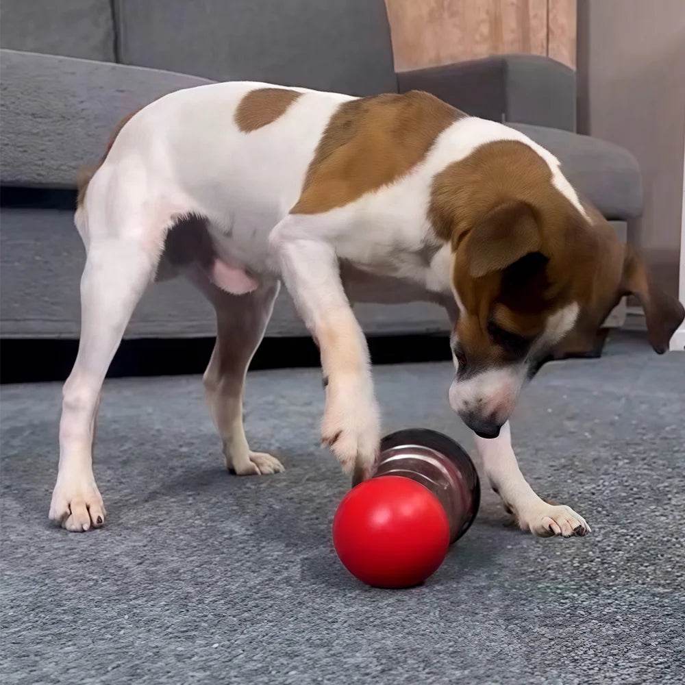 Interactive Dog Toy Small - Moment Pets