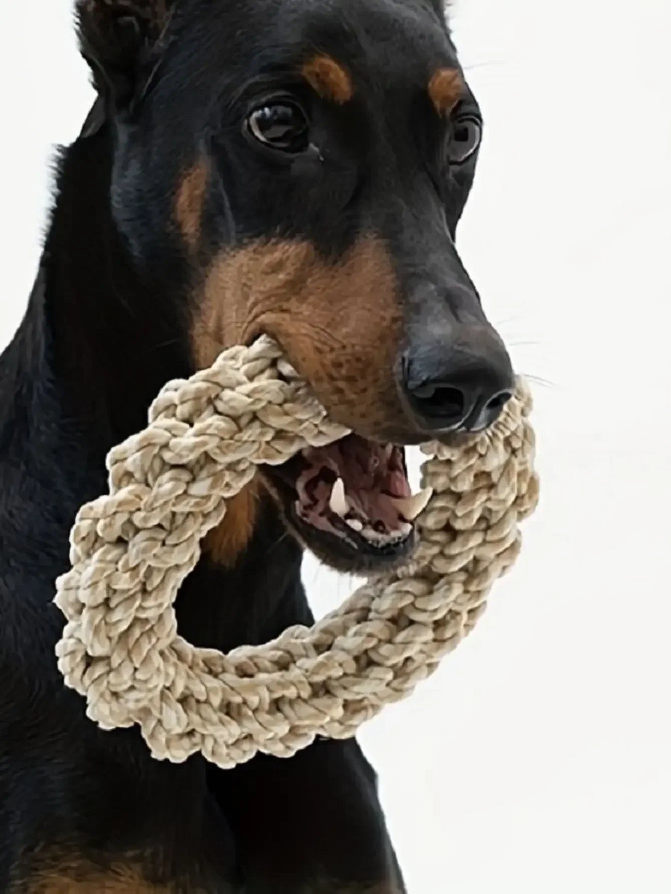 Durable Bite-Resistant Rope Toy