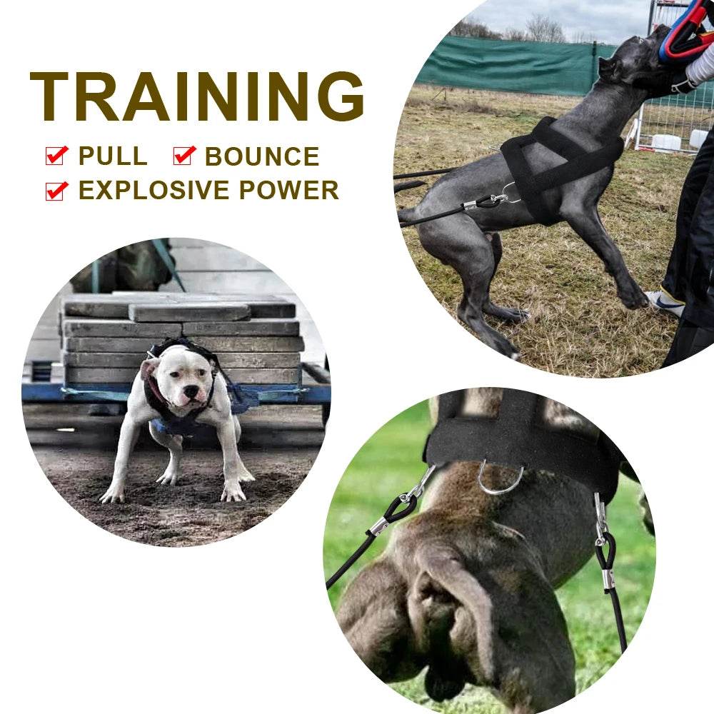 Adjustable Dog Weight Pulling Training Harness - Moment Pets