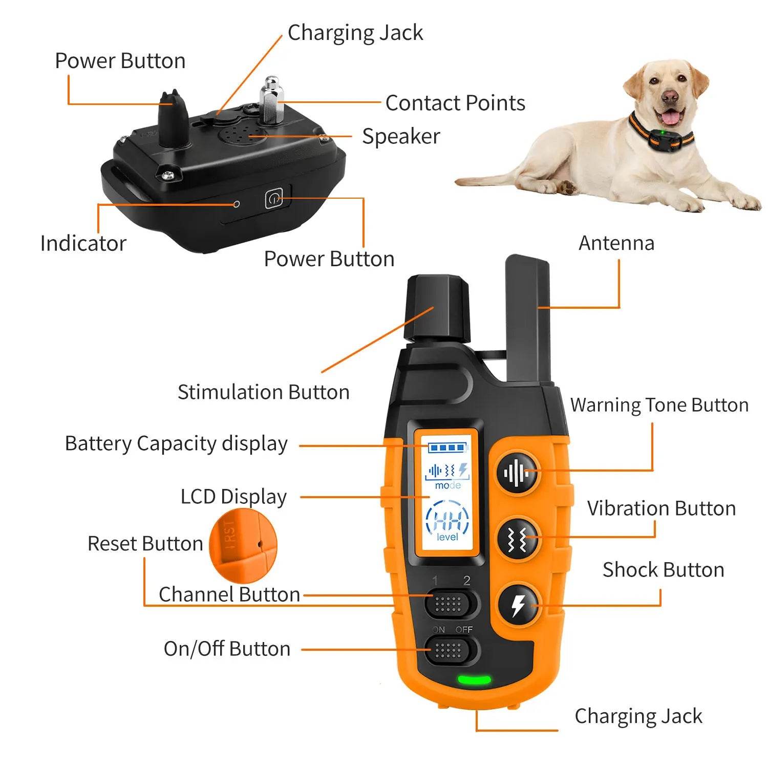 Pro Dog Training Whistle - Moment Pets