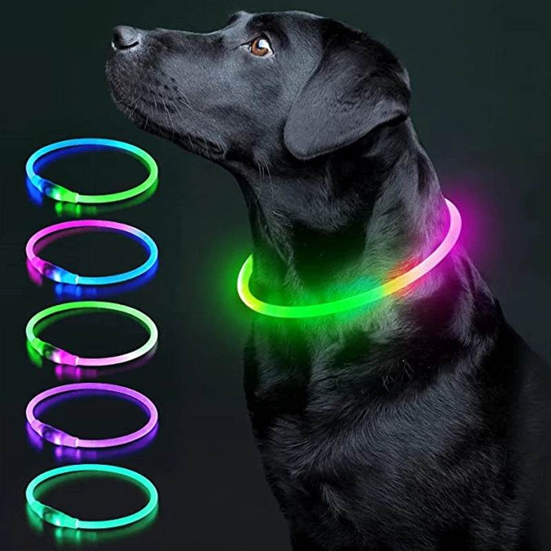 Luminous Dog Collar Light - Moment Pets