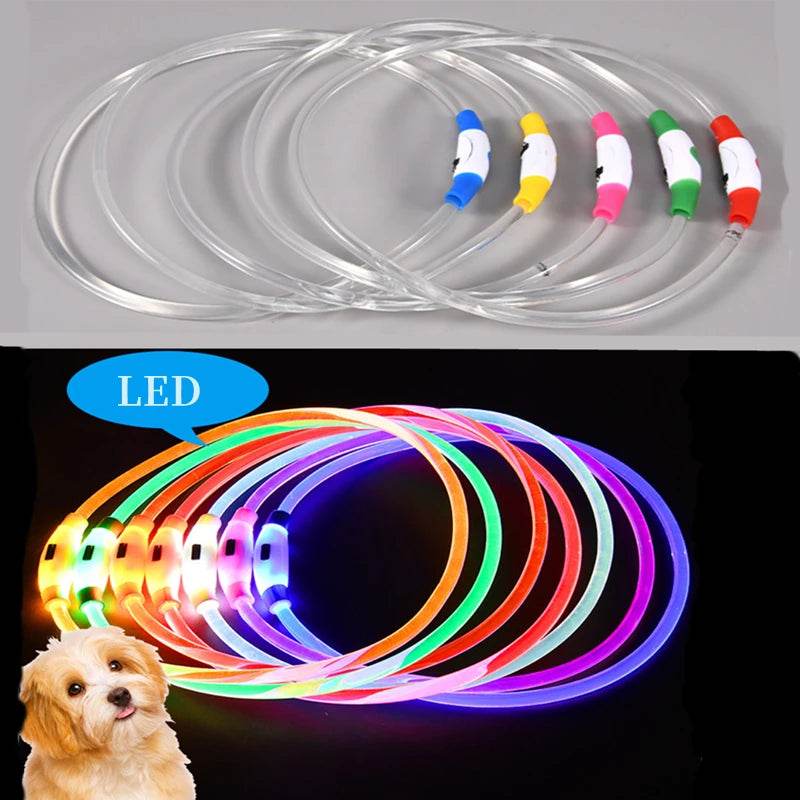 Luminous Dog Collar Light - Moment Pets