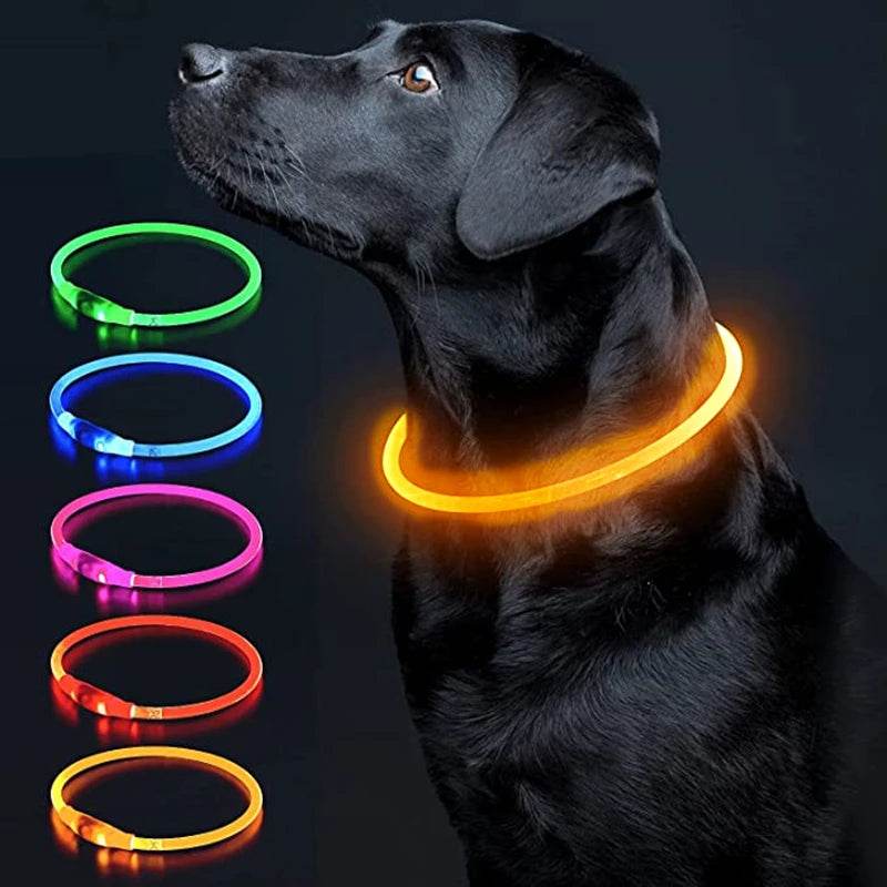 Luminous Dog Collar Light - Moment Pets