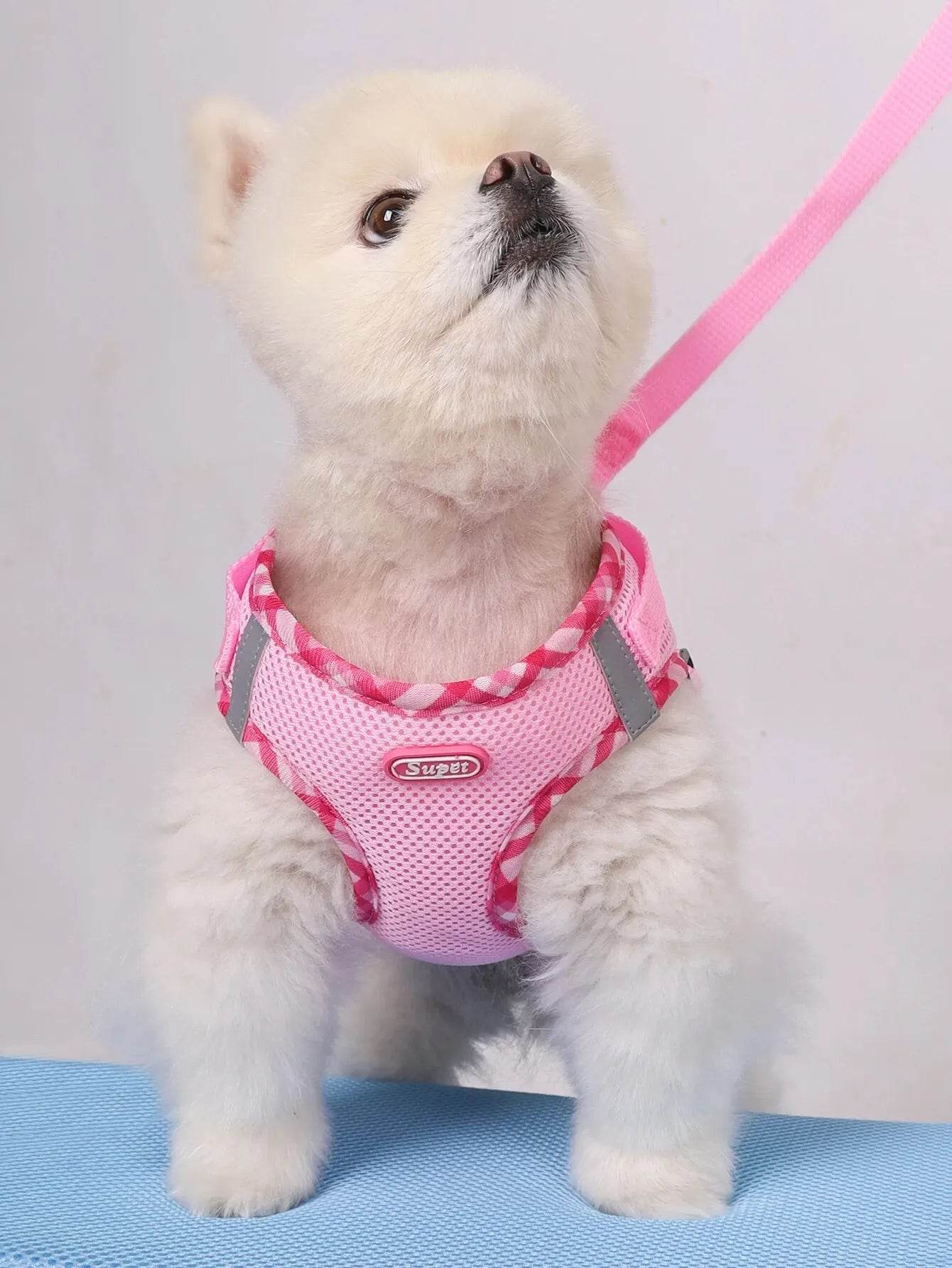 Dog Harness – Anti-Pull, Adjustable, Easy Control for Small & Medium Dogs - Moment Pets