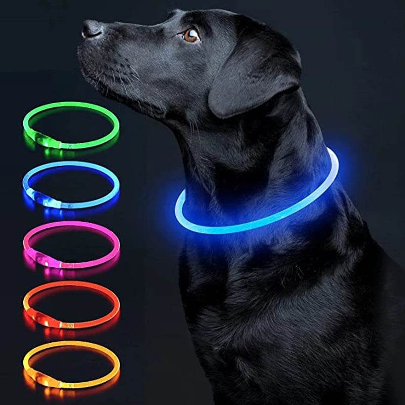 Luminous Dog Collar Light - Moment Pets