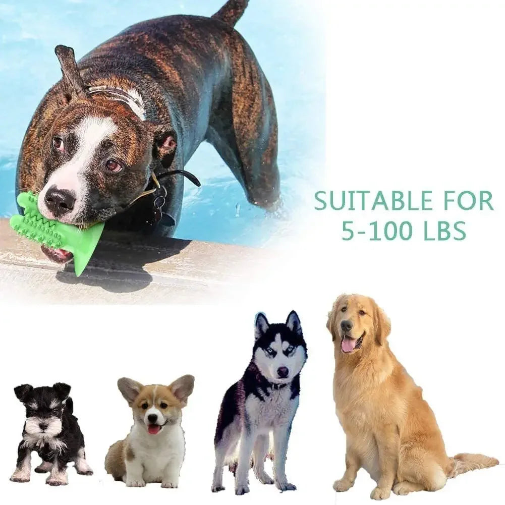 Durable Interactive Dog Toothbrush Toy