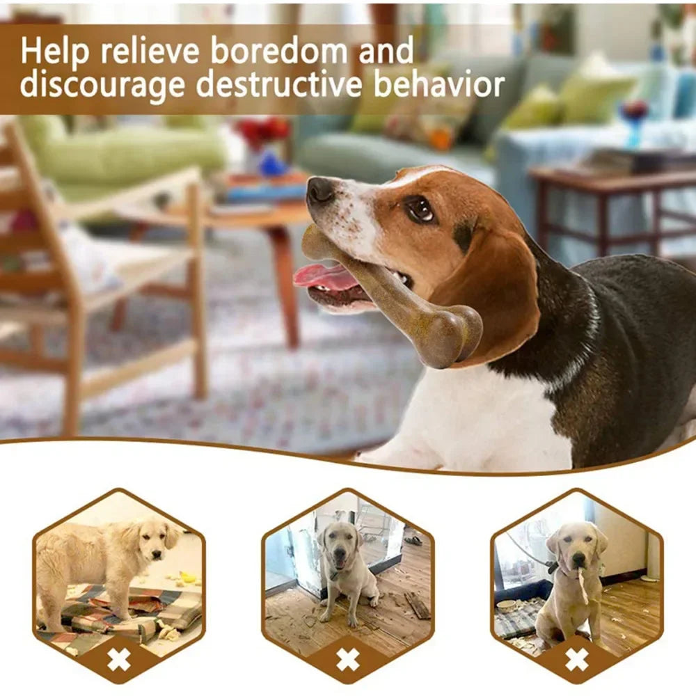 Indestructible Natural Dog Chew Toy
