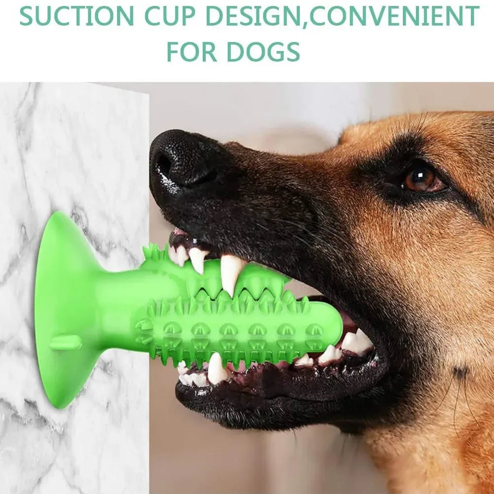 Durable Interactive Dog Toothbrush Toy