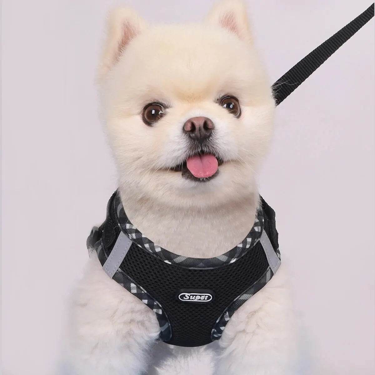 Dog Harness – Anti-Pull, Adjustable, Easy Control for Small & Medium Dogs - Moment Pets