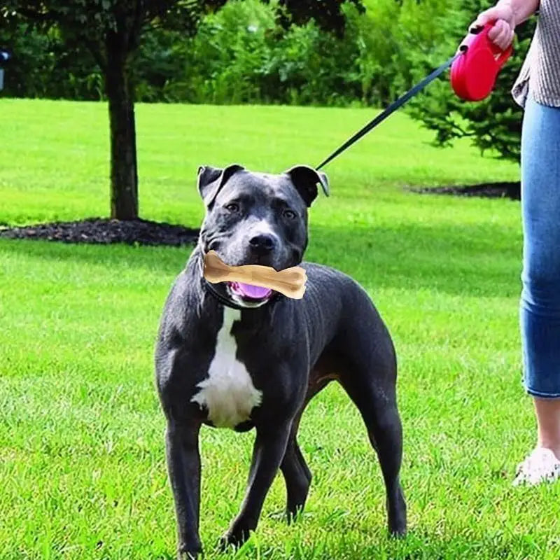 Beef Flavor Dog Chew Bone