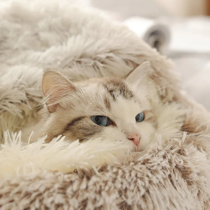 Soft Plush Pet Bed - Winter Warm Semi-Enclosed Cat & Dog Nest