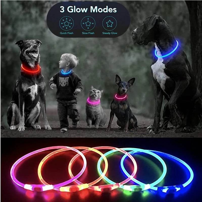 Luminous Dog Collar Light - Moment Pets