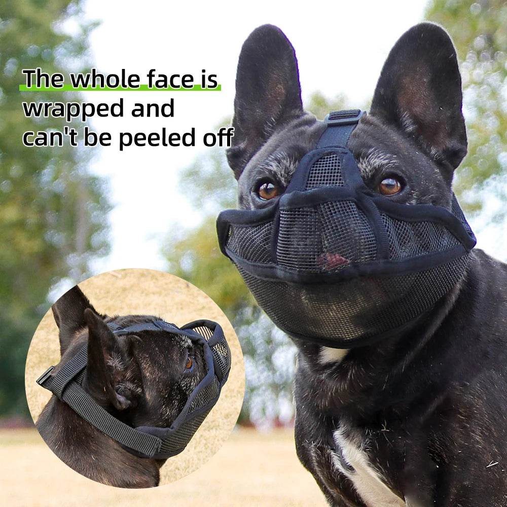 Dog Muzzle Short-Snouted Dogs - Moment Pets