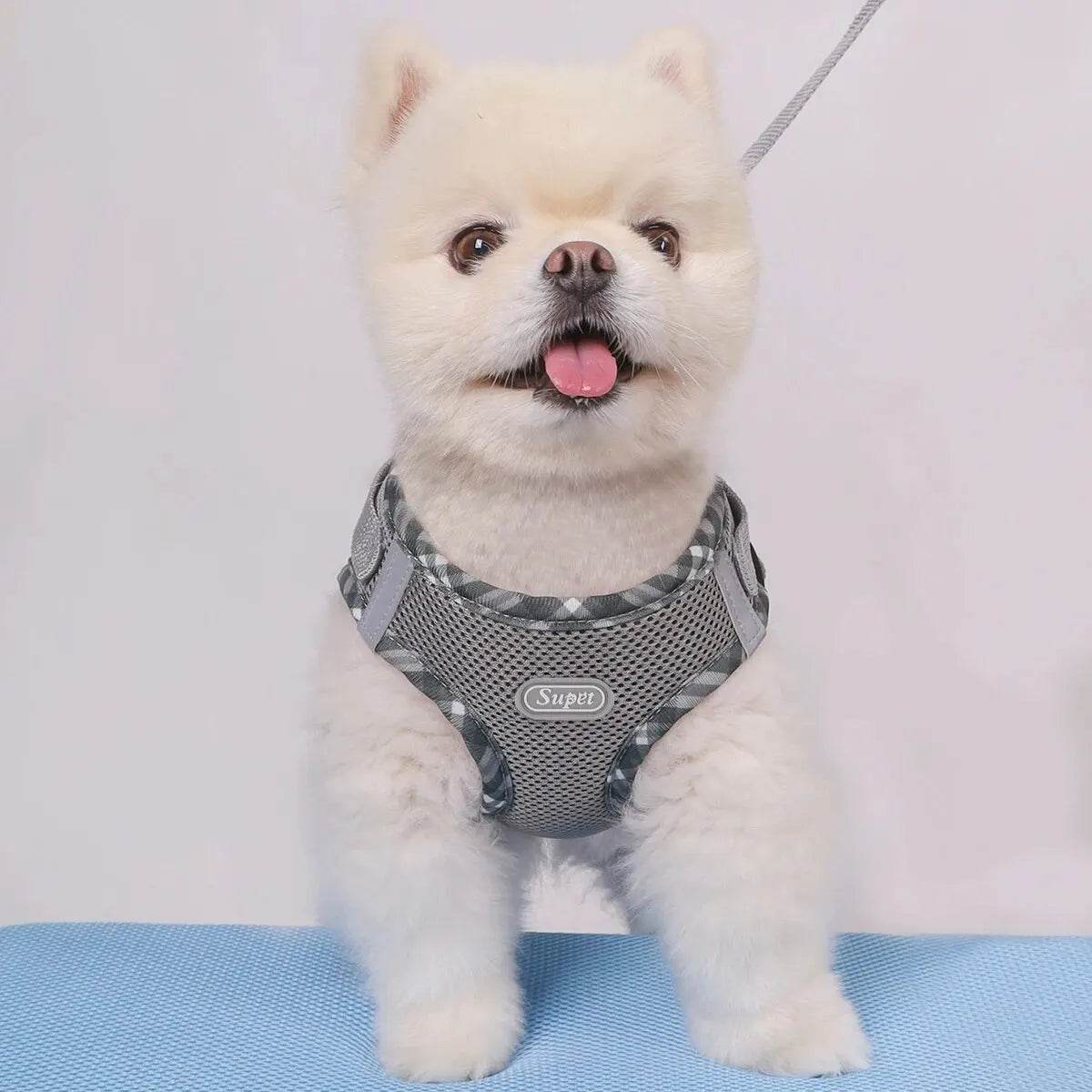 Dog Harness – Anti-Pull, Adjustable, Easy Control for Small & Medium Dogs - Moment Pets