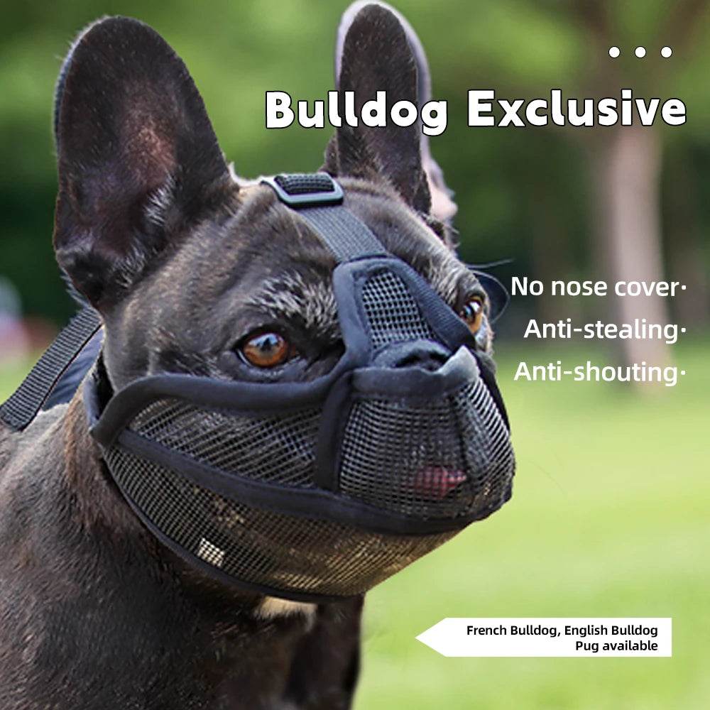 Dog Muzzle Short-Snouted Dogs - Moment Pets