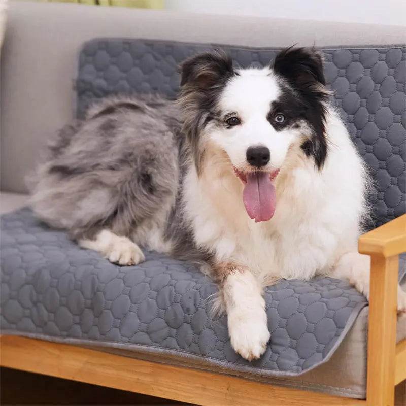 Reusable Waterproof Dog Pee Pad - Moment Pets