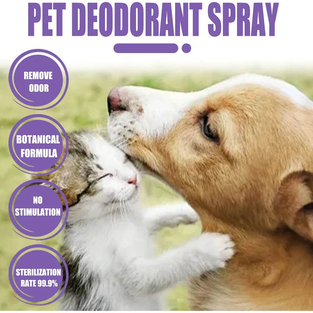 Pet Calming Spray 50ml - Moment Pets