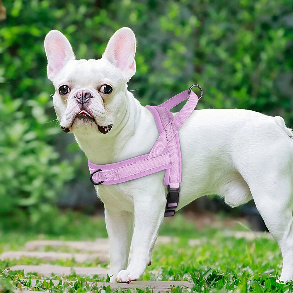 Soft No-Pull Dog Harness