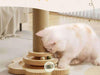 Scratch & Play Cat Post - Moment Pets | Everything Your Pet Needs