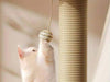 Scratch & Play Cat Post - Moment Pets | Everything Your Pet Needs