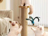 Scratch & Play Cat Post - Moment Pets | Everything Your Pet Needs