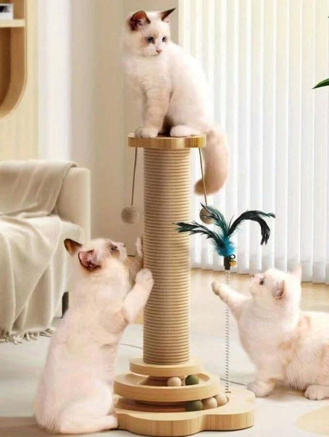 Scratch & Play Cat Post - Moment Pets