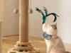 Scratch & Play Cat Post - Moment Pets | Everything Your Pet Needs