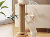 Scratch & Play Cat Post - Moment Pets | Everything Your Pet Needs