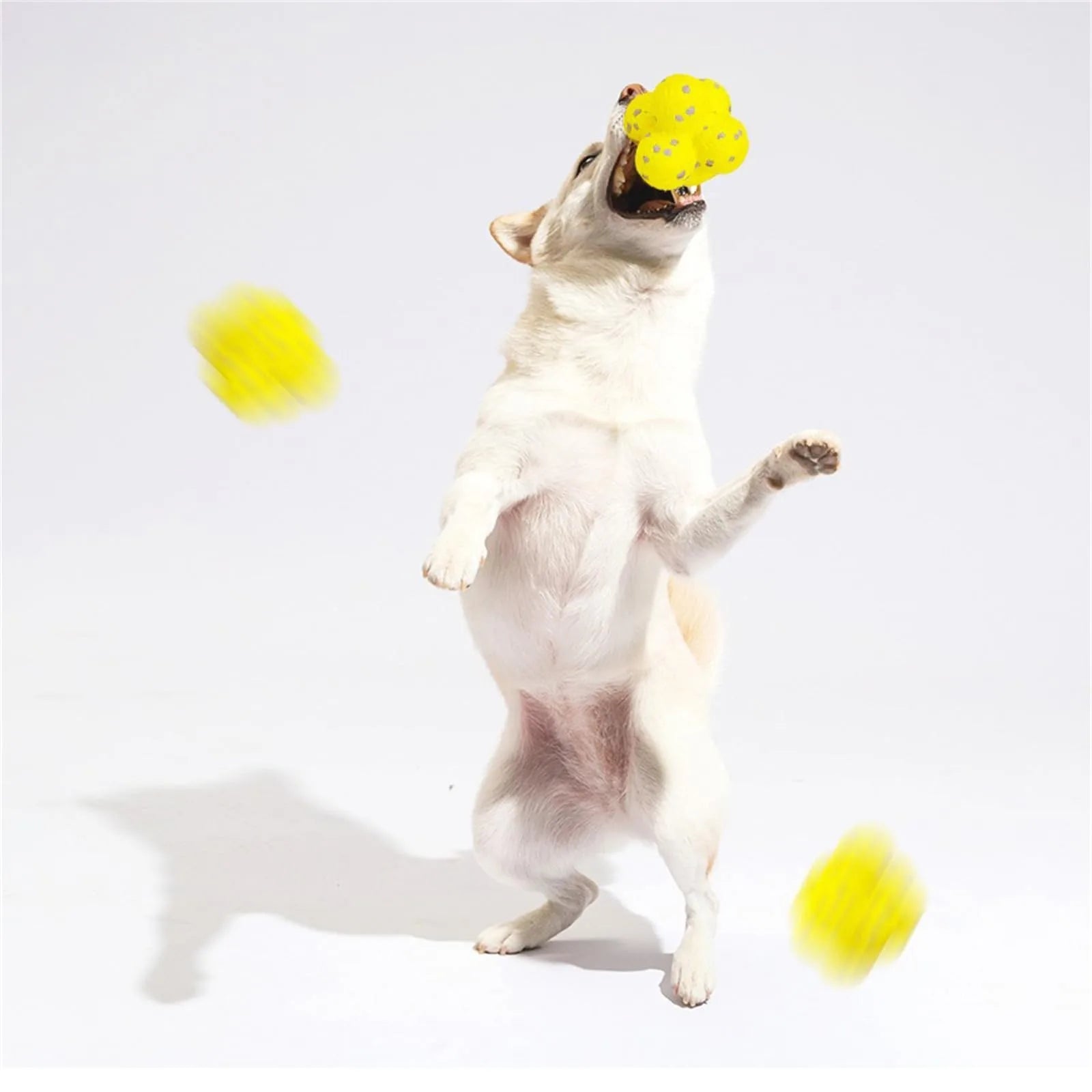 Calming Yellow Dog Tennis Ball