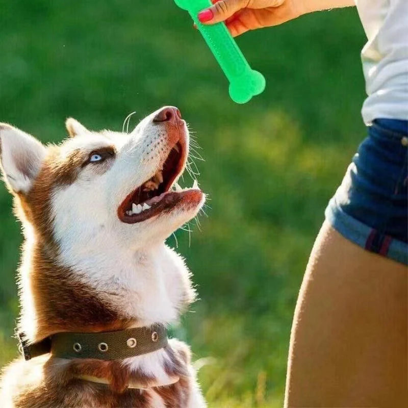 Rubber Dog Chew Toothbrush Toy