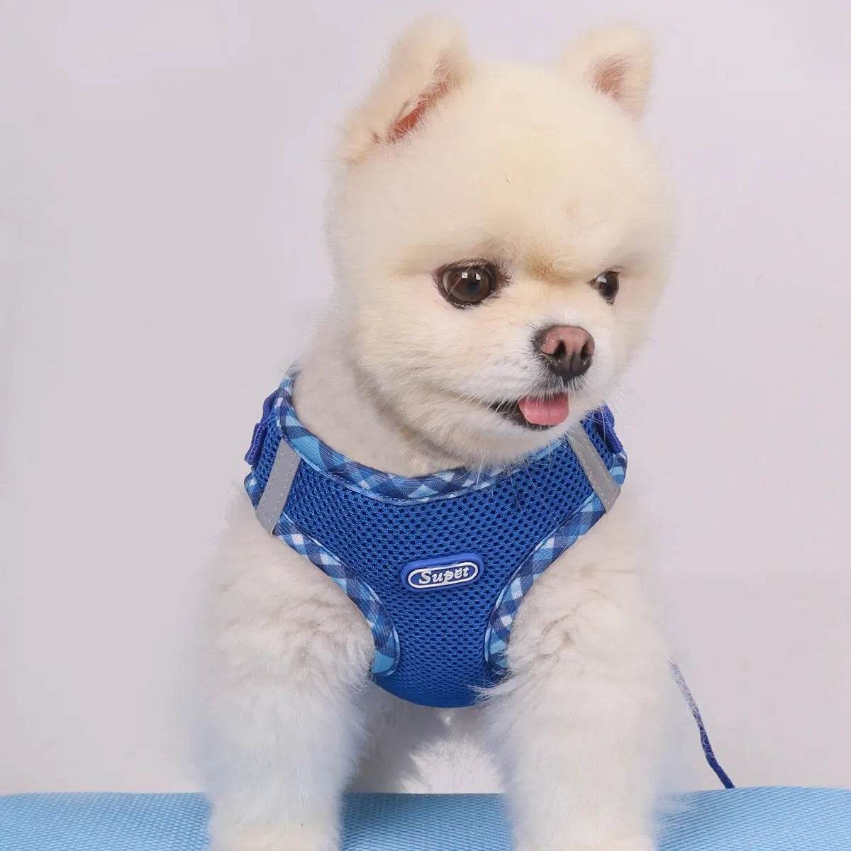 Dog Harness – Anti-Pull, Adjustable, Easy Control for Small & Medium Dogs - Moment Pets