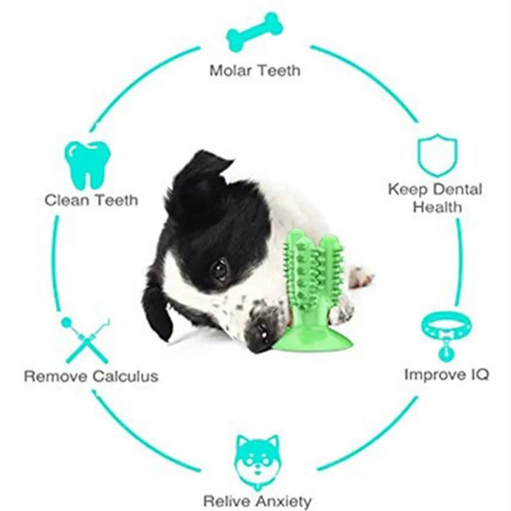 Durable Interactive Dog Toothbrush Toy