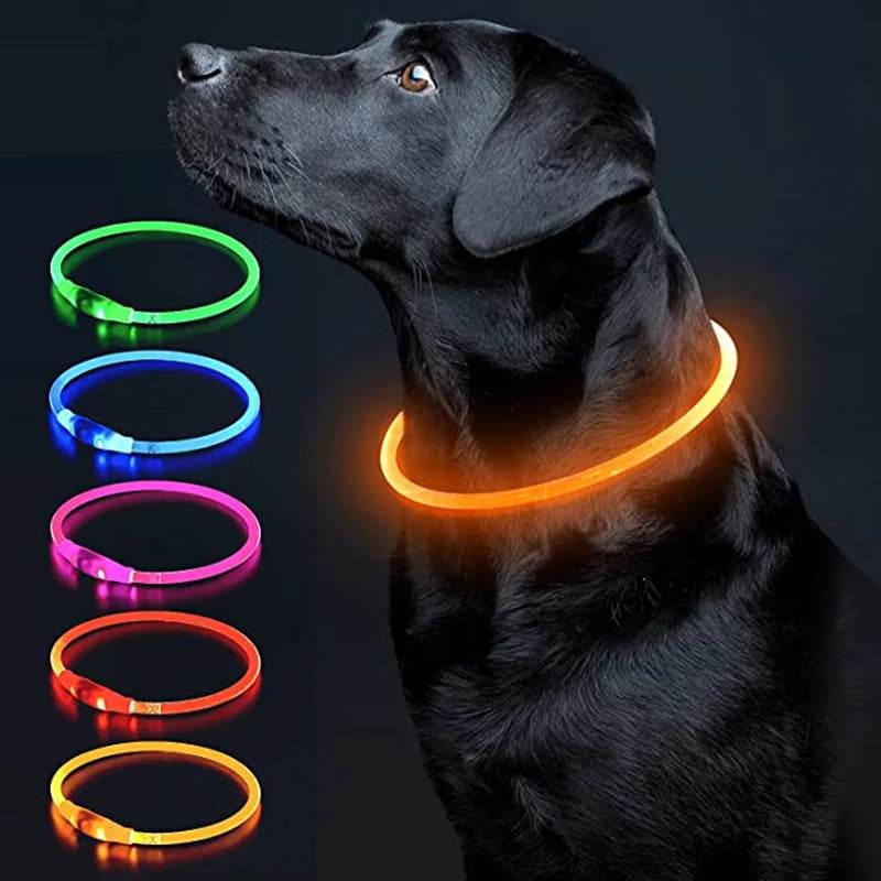 Luminous Dog Collar Light - Moment Pets