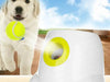 Smart Fetch Machine - Moment Pets | Everything Your Pet Needs