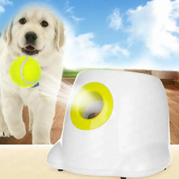 Smart Fetch Machine - Moment Pets | Everything Your Pet Needs