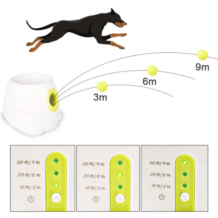 Smart Fetch Machine - Moment Pets | Everything Your Pet Needs