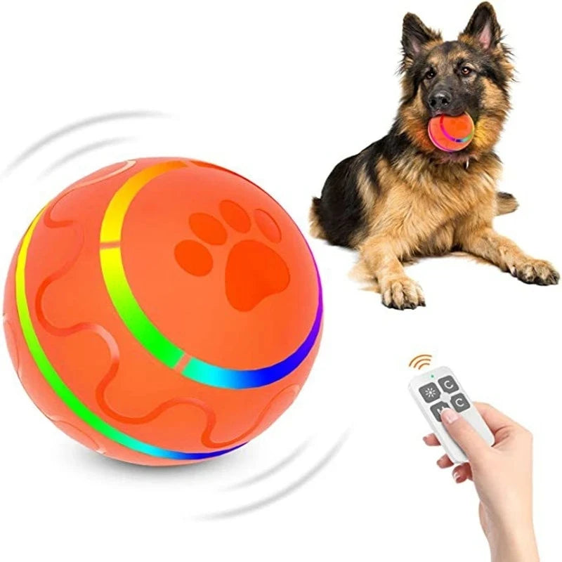 Smart Remote Control Ball - Moment Pets