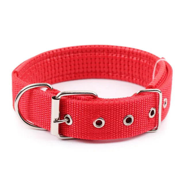 Solid Dog Nylon Collar