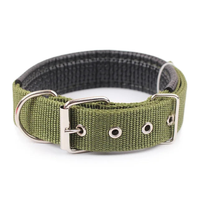 Solid Dog Nylon Collar