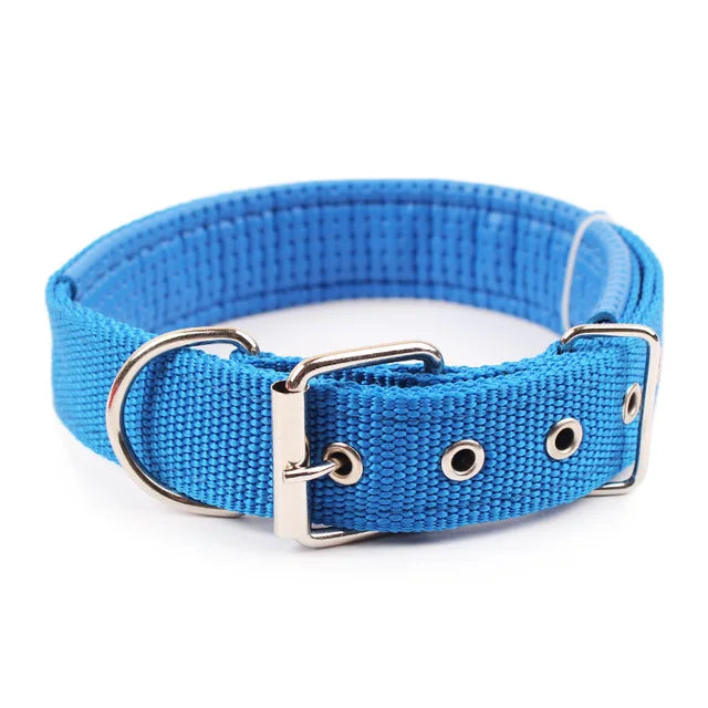 Solid Dog Nylon Collar