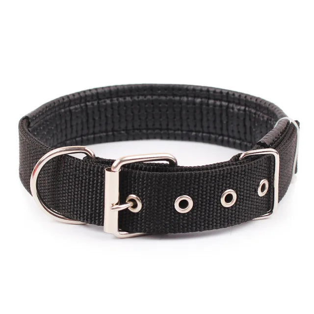 Solid Dog Nylon Collar