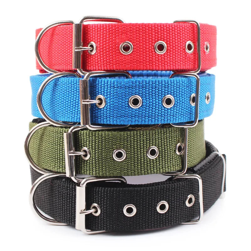 Solid Dog Nylon Collar - Moment Pets