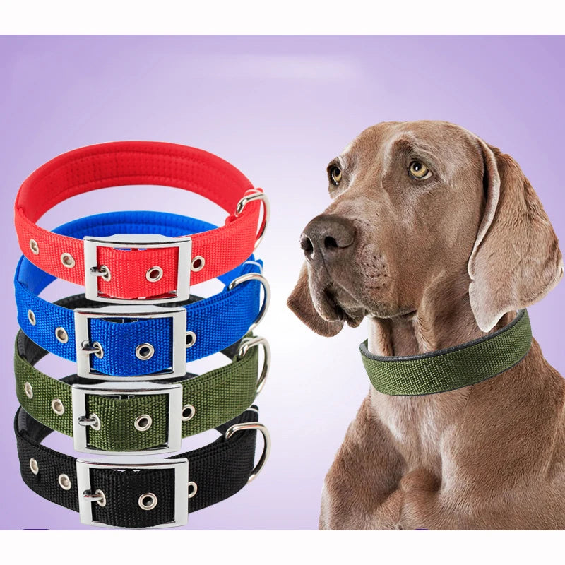 Solid Dog Nylon Collar - Moment Pets