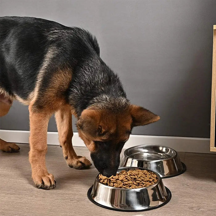 Stainless Steel Dog Feeder Bowl